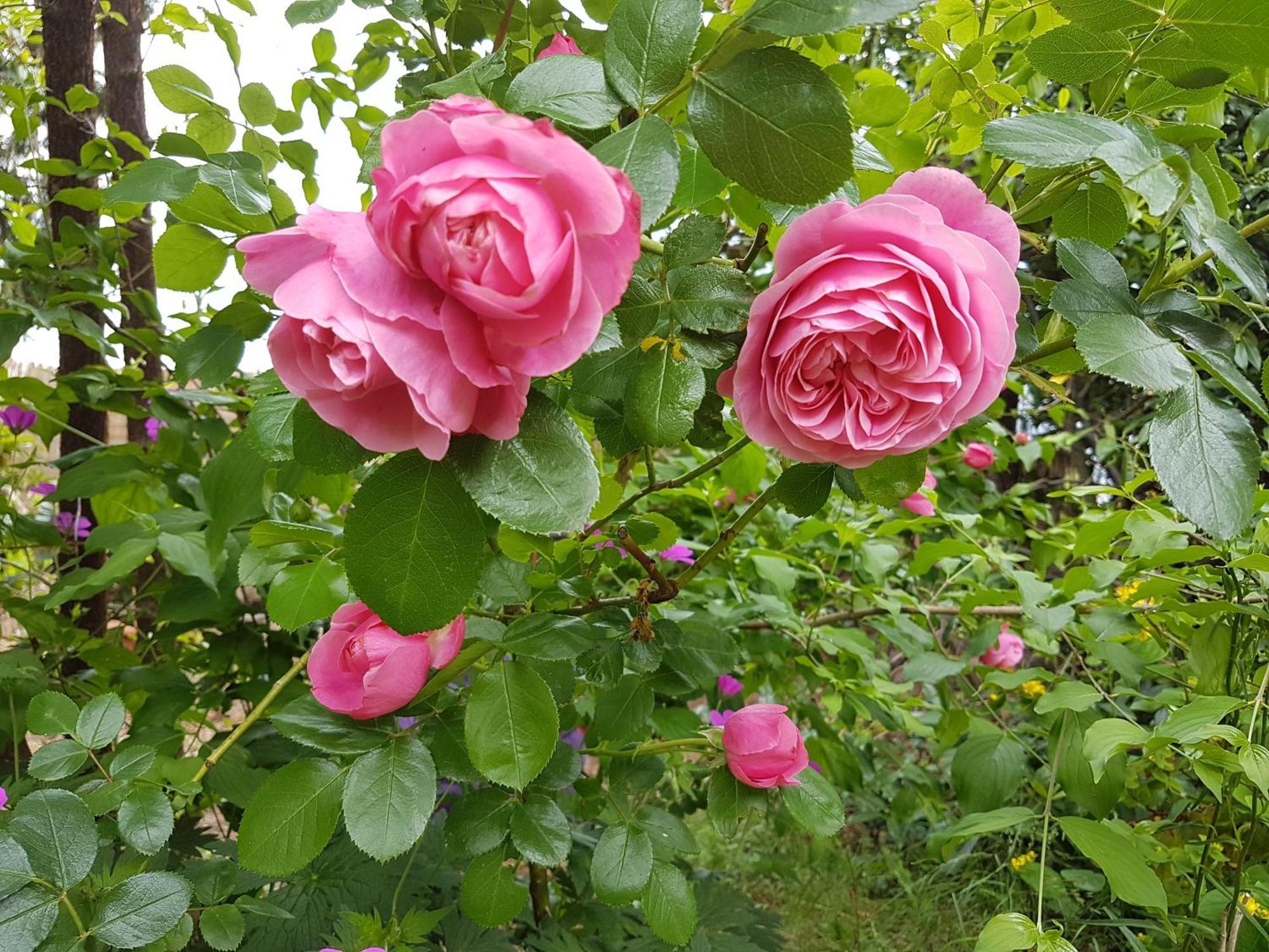 Ferienwohnung Hoennetal Hemer Luaran gambar